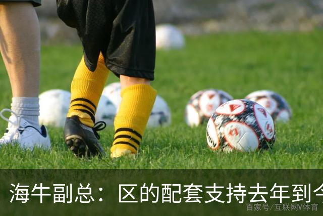 海牛副总：区的配套支持去年到今年都没落实，资金缺口4000万
