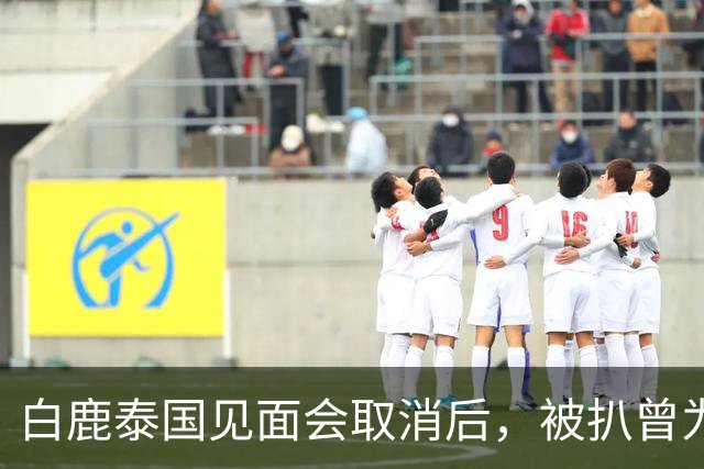 白鹿泰国见面会取消后，被扒曾为缅北拍宣传片，知情人爆更多内幕