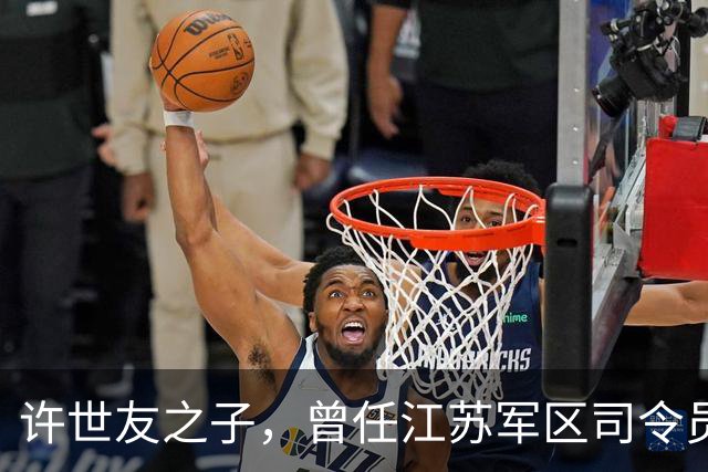 许世友之子，曾任江苏军区司令员，49岁升少将，现在是什么职务？